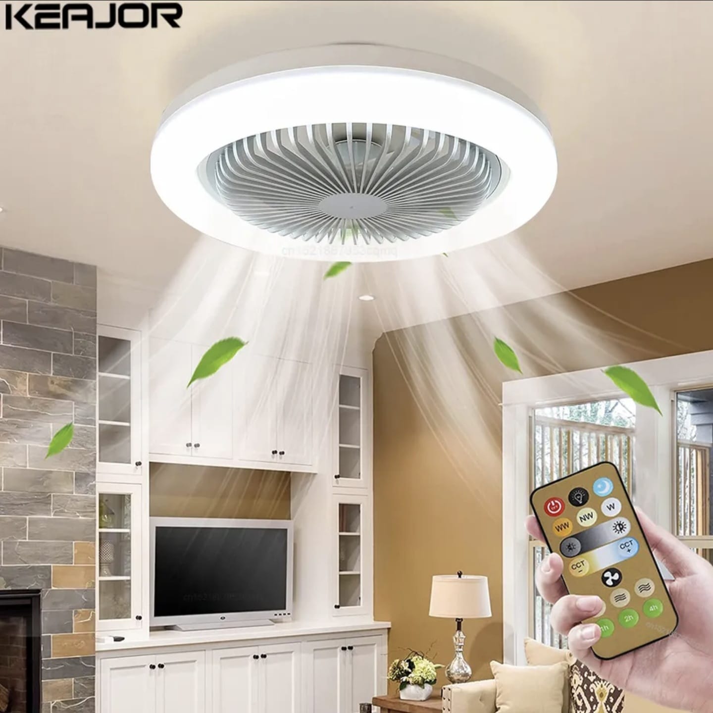 Dual-Purpose Fan Lamp